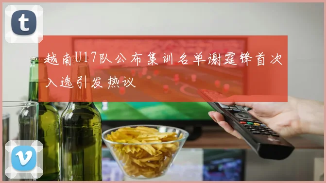越南U17队公布集训名单谢霆锋首次入选引发热议