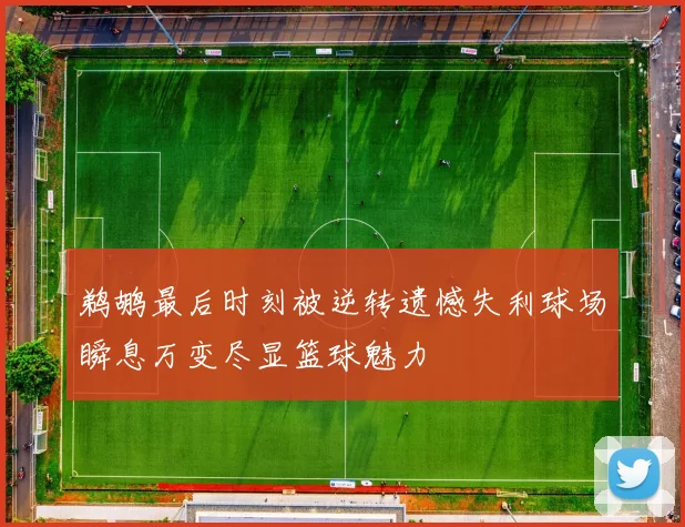 鹈鹕最后时刻被逆转遗憾失利球场瞬息万变尽显篮球魅力