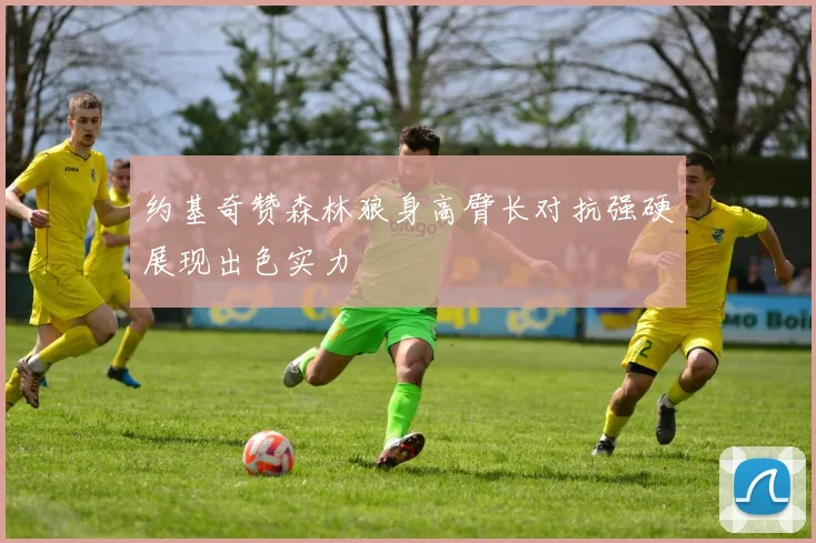 约基奇赞森林狼身高臂长对抗强硬展现出色实力